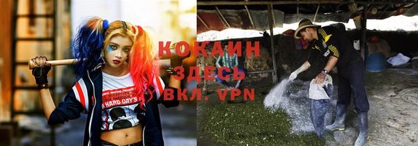 хмурый Зерноград